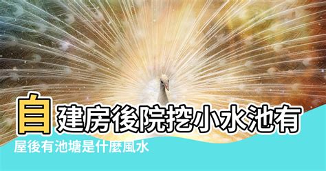 屋後有水池風水|談風水之「水形十八式」